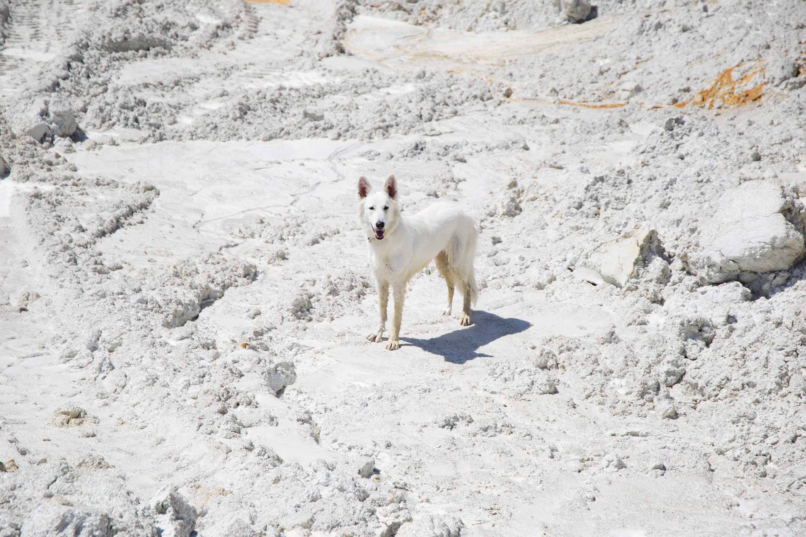 image de diaporama